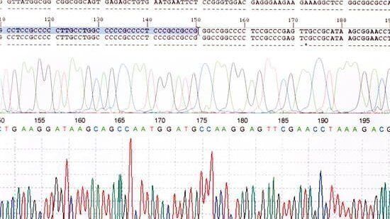 fazit einer hausarbeit