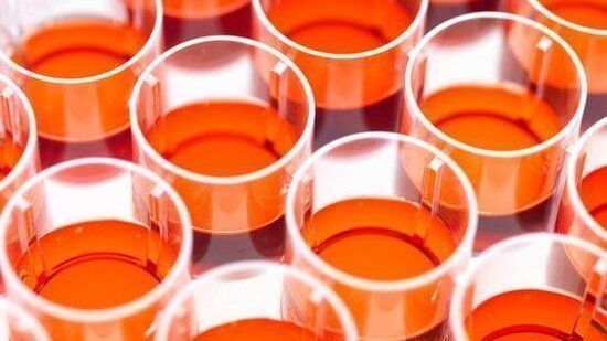 interessante politische themen hausarbeit