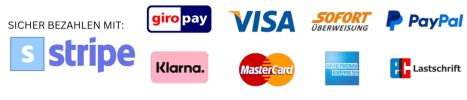 Bezahlung Icons Stripe